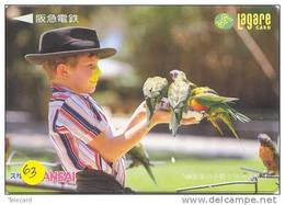 Bird PERROQUET Parrot PAPAGEI Papagaai Oiseau Carte (63) - Parrots