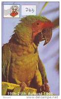 Bird PERROQUET Parrot PAPAGEI Papagaai Oiseau (263) - Pappagalli