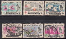 6v Used Pahang 1965, Malaya, Orchid, Flower, Plant - Perak