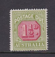 Australia Postage Due Stamps SG D93  1925 Three Half Pennies Perf 14 Mint Never Hinged - Portomarken