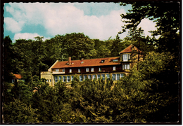 Sehlde  - Jägerhaus Im Hainberg -  Bei Bockenem  -  Ansichtskarte Ca. 1964    (6839) - Reit Im Winkl