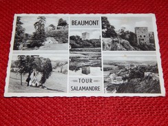 BEAUMONT -  Tour Salamandre  -  Multivues - Beaumont
