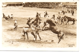 CALGARY STAMPEDE, Alberta, Canada, Wild Horse Race?, Old Rosetti RPPC - Calgary
