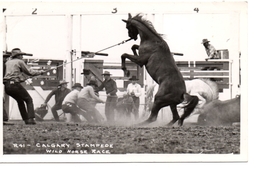 CALGARY STAMPEDE, Alberta, Canada, Wild Horse Race, Old Calgary Photo Supply Co. RPPC - Calgary