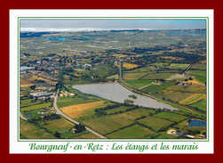 Dept 44 - Le Pays De Retz , Bourgneuf En Retz   (scan Recto Et Verso ) - Bourgneuf-en-Retz