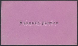 Hegedüs Sándor (1847-1906) Politikus, Országgyülési KépviselÅ‘, Miniszter... - Autres & Non Classés