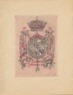 Riquer, Alexandre De (1856-1920): Ex Libris Alfonso XIII, Rézkarc, Papír, 17,5×12 Cm - Autres & Non Classés