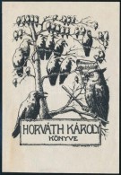 Nagy Sándor (1869-1950): Horváth Károly Könyve, Ex Libris, Klisé, Papír,... - Autres & Non Classés