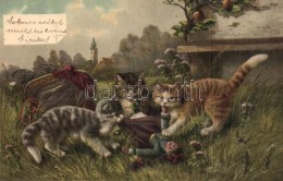T2/T3 Cats Chewing On A Doll, Litho (EK) - Ohne Zuordnung