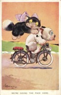 ** T2 We Are Going The Pace Here / Bonzo Dog And Cat On Motorbicycle. Valentine's Bonzo Postcards 1373. S: G. E.... - Ohne Zuordnung