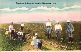 ** T1/T2 1925 Alentours Du Camp Du Museifre / Lebanese Military Postcard, Digging The Trench - Ohne Zuordnung