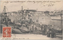 T2 Torpilleurs Dans Le Port, Cannes / French Torpedo Boats - Ohne Zuordnung