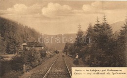 ** T1/T2 Skole, Tor Kolejowy Pod Hrebenowem / Railway Track In Hrebenne - Ohne Zuordnung