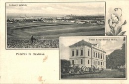 T4 Slavkov U Brna, Austerlitz; Zimní Hospodarska Skola / Winter Economic School, Art Nouveau (cut) - Ohne Zuordnung