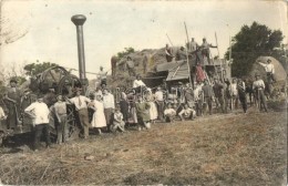 * T2/T3 Csantavér, Cantavir; Aratás, Traktor, Folklór / Harvest, Tractor, Folklore, Fotograf... - Ohne Zuordnung