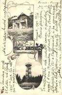 T2/T3 Zagreb, Piramida I Planinska Kuci Na Sljemenu / Lookout Tower, Guest House, Floral Art Nouveau (EK) - Ohne Zuordnung