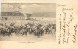T4 1899 Bábolna, Csikóménes Csoportban (vágott / Cut) - Non Classés