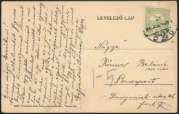 1915 Képeslap / Postcard 'K.u.K. Epidemie-Barackenspital Temesvár' - Autres & Non Classés