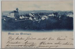 Gruss Aus Grüningen - Photo: Guggenheim No. 3701 - Grüningen