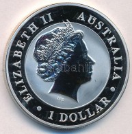 Ausztrália 2016P 1D 'II. Erzsébet / Ausztrál Koala' T:PP Kis Fo.
Australia 2016P 1 Dollar... - Ohne Zuordnung