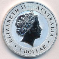 Ausztrália 2016P 1D 'II. Erzsébet / Ausztrál Kenguru' T:PP
Australia 2016P 1 Dollar 'Elisabeth... - Ohne Zuordnung