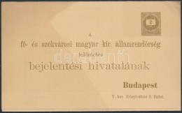 1874 2kr Barna SzínÅ± Ritka Díjjegyes RendÅ‘rségi BejelentÅ‘lap, Használatlan - Sonstige & Ohne Zuordnung