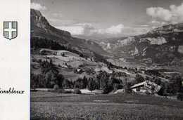 Delcampe - 74 COMBLOUX Alt 1000m  La Vallee De Sallanche Vue Du Haut Combloux - Combloux