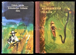 5 Db Vadászattal Kapcsolatos Könyv: Kittenberger: Vadászkalandok Afrikában; Fekete:... - Ohne Zuordnung