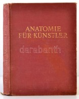 Barcsay JenÅ‘: Anatomie Für Künstler. Bp., 1967, Corvina. Kiadói... - Non Classés