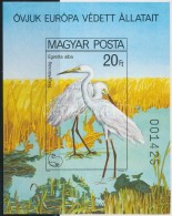 ** 1980 Madarak - Védett Vízimadarak Vágott Blokk (6.000) - Sonstige & Ohne Zuordnung