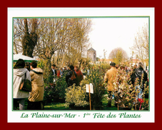 Dept 44 *  Le Pays De Retz  *  La Plaine Sur Mer * Fete Des Plantes   ( Scan Recto Et Verso ) - La-Plaine-sur-Mer