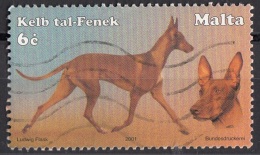 1067 Malta 2001 Cani Dogs Chiens Perro : Kelb Tal-Fenek Viaggiato Used Cane Dei Faraoni - Aegyptologie