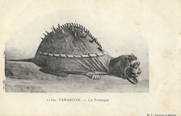 Tarascon - La Tarasque 11 Bis - Edition B.F. Chalon - Carte Précurseur Non Circulée - Contes, Fables & Légendes