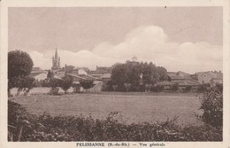 13 - PELISSANNE - Vue Générale - Pelissanne