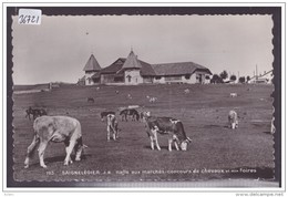 SAIGNELEGIER - HALLE AUX MARCHES CONCOURS DE CHEVAUX - CARTE NEUVE NON CIRCULEE - TB - Saignelégier