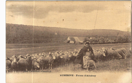 CARTE POSTALE ANCIENNE DE AUBERIVE  -  FERME D'ALLOFROY - Auberive