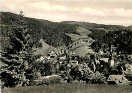 TODTMOOS IM HOCHSCHWARZWALD     CACHET   TIMBRE - Todtmoos