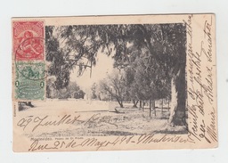 URUGUAY - MONTEVIDEO / PASEO DE EL PRADO (with STAMPS) - Uruguay