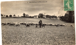 MONTMELIANT SAINT-WITZ BERGER AVEC SES MOUTONS - Saint-Witz