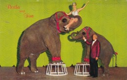 Nevada Sparks East Reno John Ascuaga's Nugget Hotel Bertha & Tina Performing Elephants In Circus Room - Reno
