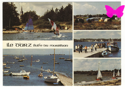 ILE D'ARZ - Golfe Du Morbihan - Multivues - Ile D'Arz