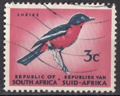 272 Sud Africa 1961 Uccelli Birds - Averla Dal Petto Rosso - Laniarius Atrococcineus - South Suid Afrika - Sparrows