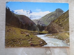 D147224 Austria   Matrei In Osttirol - Kesselkopf -Rainerhorn -vaches Kühe  - Cows - Matrei In Osttirol