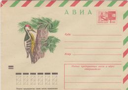 Russie. Russia. URSS. 1973. Pic. Woodpecker. - Specht- & Bartvögel