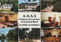 CPM  Genillé ANAS  Chateau Du Courbat - Genillé