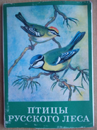 Birds Of The Russian Forest. Set Of 16 Postcards. 1979 - Birds