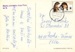 L3561 - DDR (1988) 1270 ...swig 1 (postcard) Tariff: 10 Pf. (stamp: WWF - Lutra Lutra) - Briefe U. Dokumente