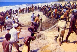 Salvador - A Famosa Puxada De Rede Na Pesca Do Xareu - 129 - Formato Grande Viaggiata – E1 - Salvador De Bahia