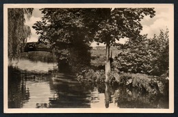 A1493 - Alte Foto Ansichtskarte - Lychen - Am Mühlenbach - Gel - Lychen