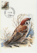 MC BUZIN / Moineau Friquet / Ringmus / Passer Montanus  / Tree Sparrow / Feldsperling  1989 - Songbirds & Tree Dwellers